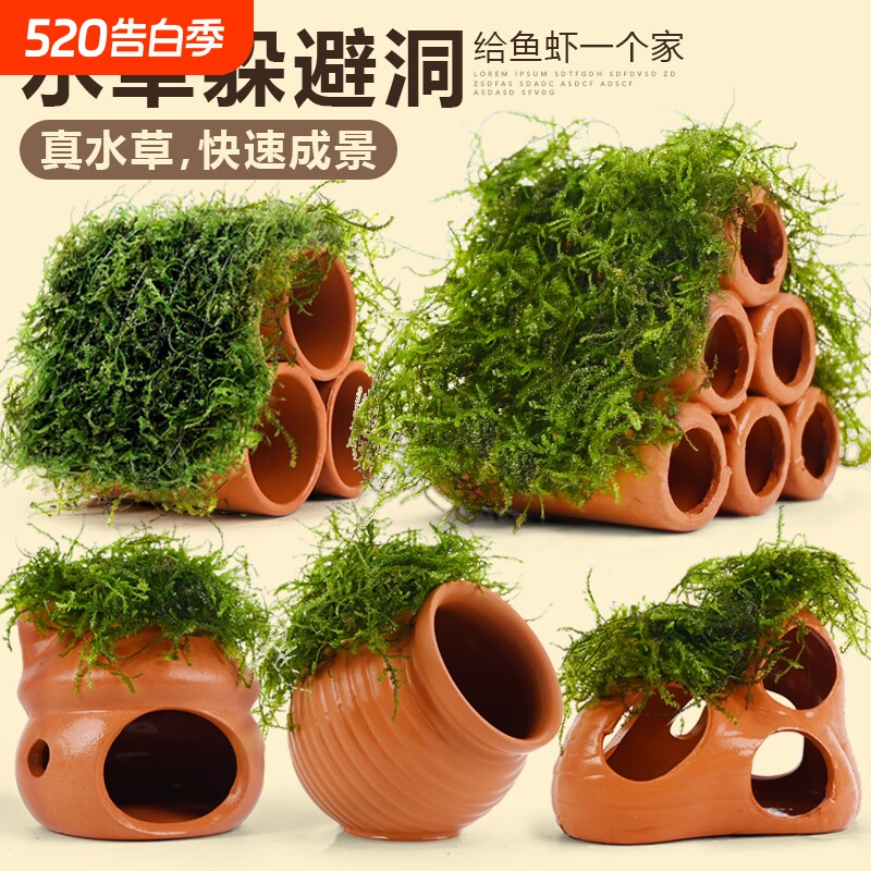 莫斯陶罐躲避屋装饰水草鱼缸造景植物鱼虾躲避洞虾屋摆件小鱼繁殖