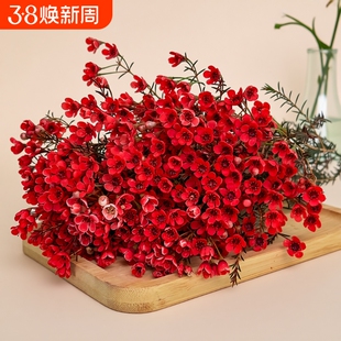 鲜花澳洲腊梅盆栽花卉云南基地直发鲜切花花束花瓶摆件客厅插花