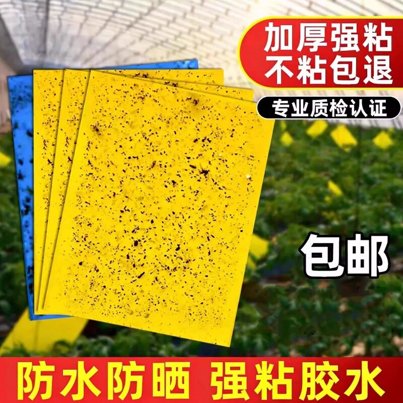 灭蚊灯蝇纸20张装粘捕式灭蝇灯贴纸粘虫板强力沾虫蚊子苍蝇粘纸