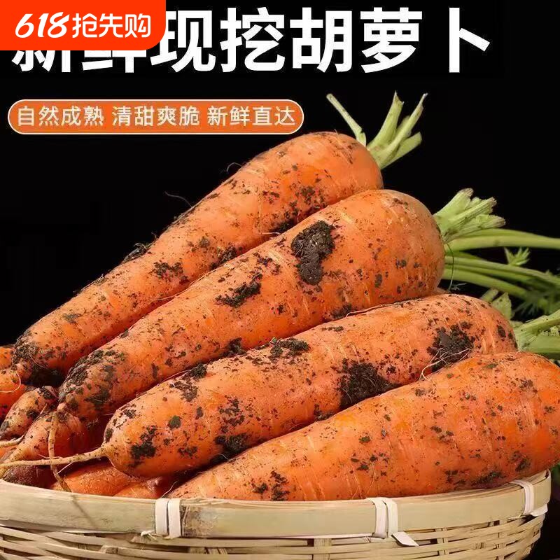 带土胡萝卜蔬菜水果红萝卜现挖现发农家自种新鲜食材营养生鲜辅食