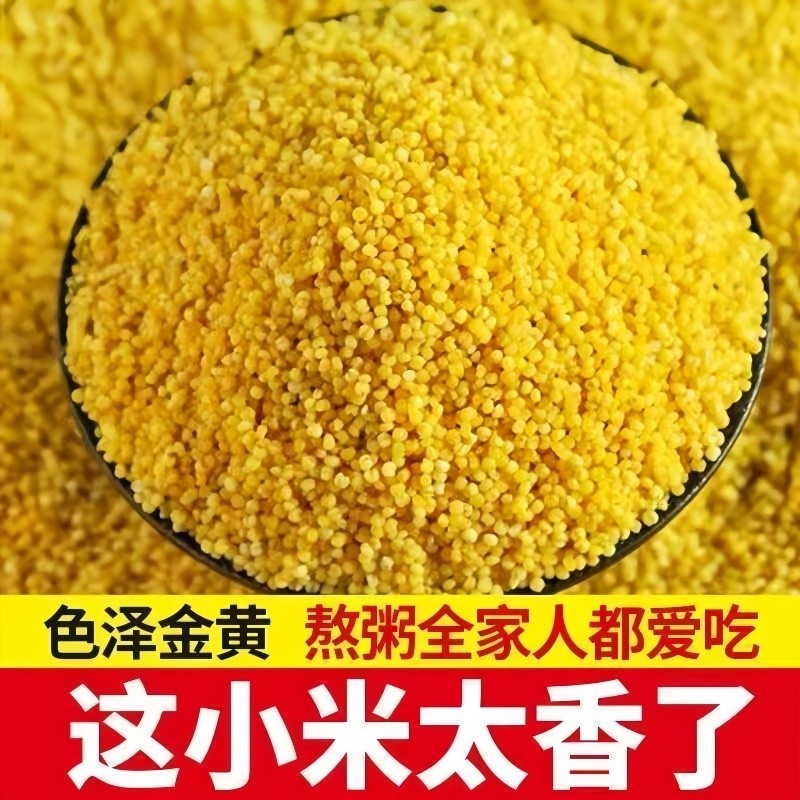 农家黄小米包装新米当季新鲜营养油小米粗粮软糯米粥五谷杂粮袋装
