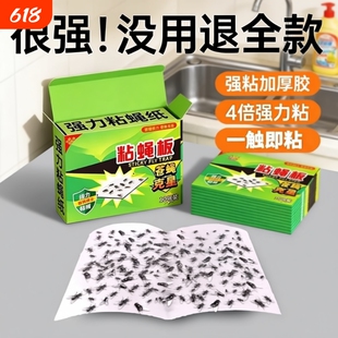 苍蝇贴强力粘苍蝇纸粘蝇板药沾蚊杀手捕捉器灭神器一扫光家用捕蝇