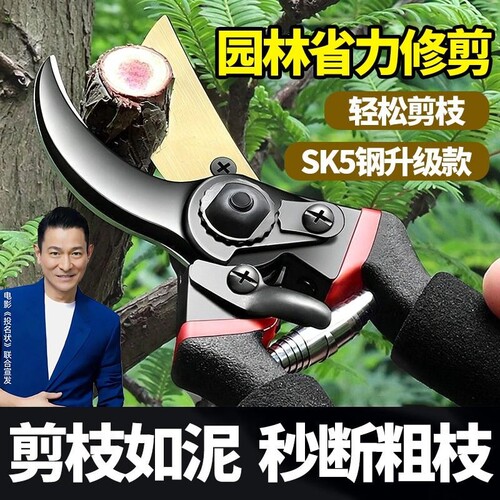 修枝剪花剪园艺剪刀修剪树枝果树剪花枝剪子园林工具家用花卉剪枝
