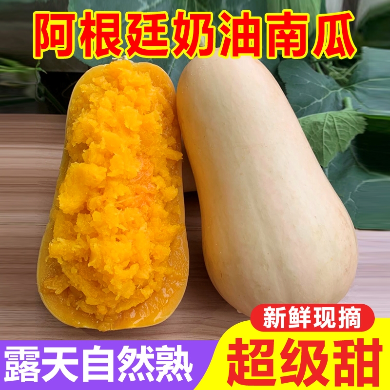 正宗奶油小南瓜9斤 当季新鲜现摘农家老南瓜香甜软糯宝宝辅食包邮 - 封面