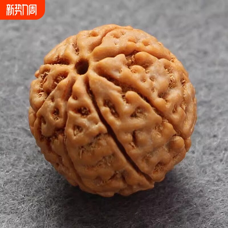 满肉金刚菩提手串原籽大金刚7七8八9九瓣佛珠念珠精品菩提子