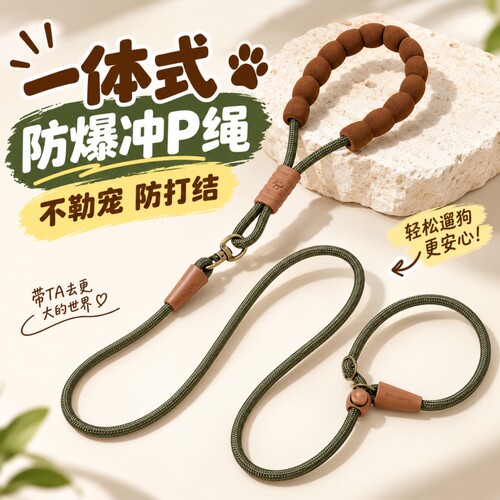狗狗赛级P链P绳遛狗牵引绳