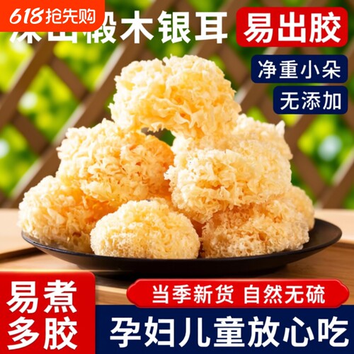古田椴木小银耳干货农家种植银耳易煮易出胶银耳羹无硫木耳