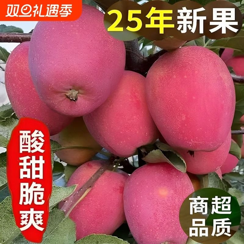 正宗东北鸡心果沙果海棠果小苹果糖心鸡心果当季孕妇水果酸甜大果