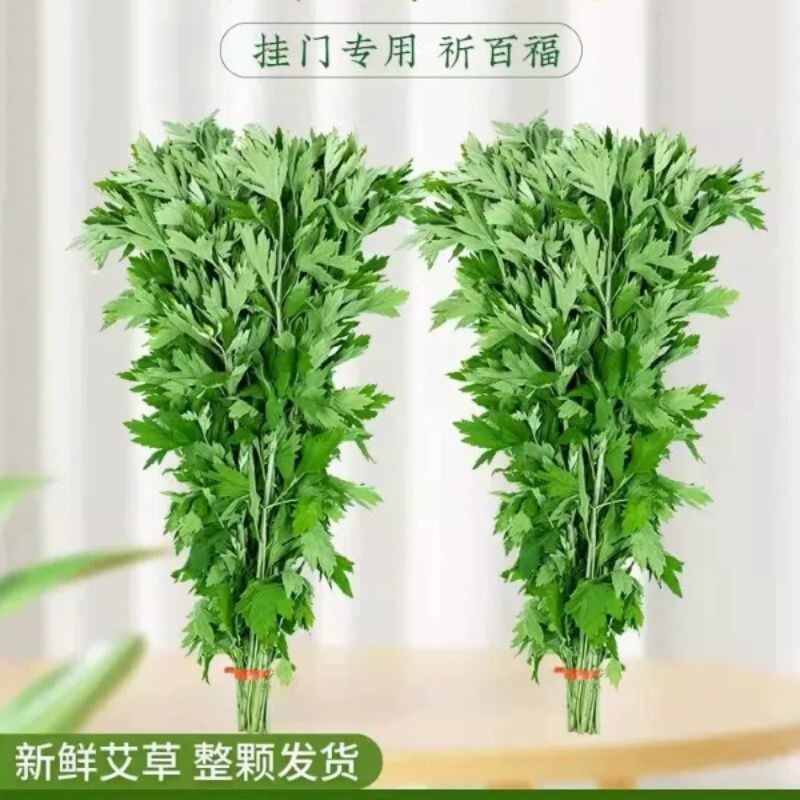 新鲜艾草端午节整棵驱蚊带杆艾叶草菖蒲门挂件装饰家用花束环diy