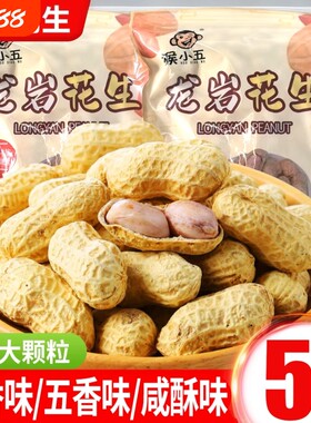 龙岩花生蒜香五香味花生米带壳炒货小零食下酒菜熟花生特产蒜蓉