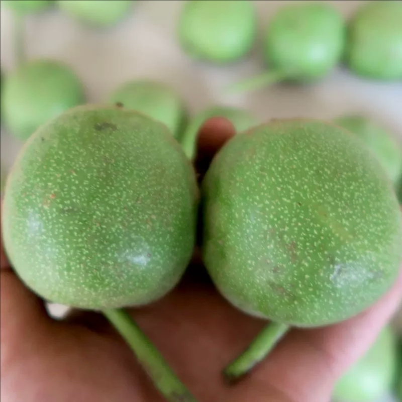 青皮蛤蟆头文玩核桃四座楼白狮子头磨盘宫灯苹果园盘玩手把件官帽