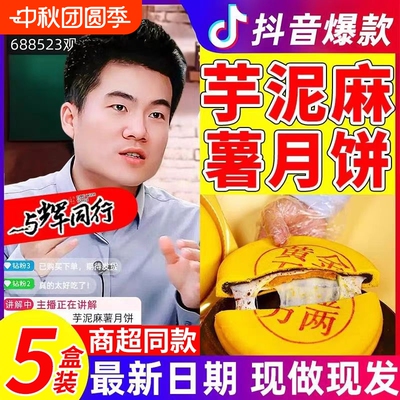 芋泥麻薯月饼胖来同款咸蛋黄肉松黄金万两冬大月饼礼盒官方旗舰店