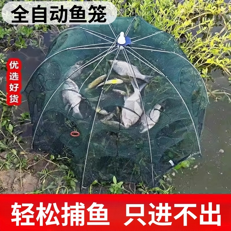 渔民推荐！捕鱼虾折叠伞笼螃蟹笼
