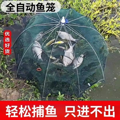 渔民推荐！捕鱼虾折叠伞笼螃蟹笼