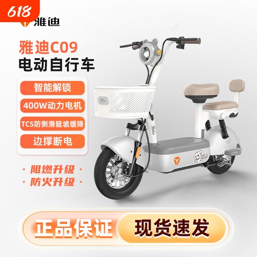 雅迪C09新国标智能电动车48V21An