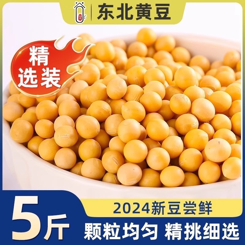 东北打豆浆新黄豆非转基因豆子当季发豆芽专用豆农家自种颗粒饱满