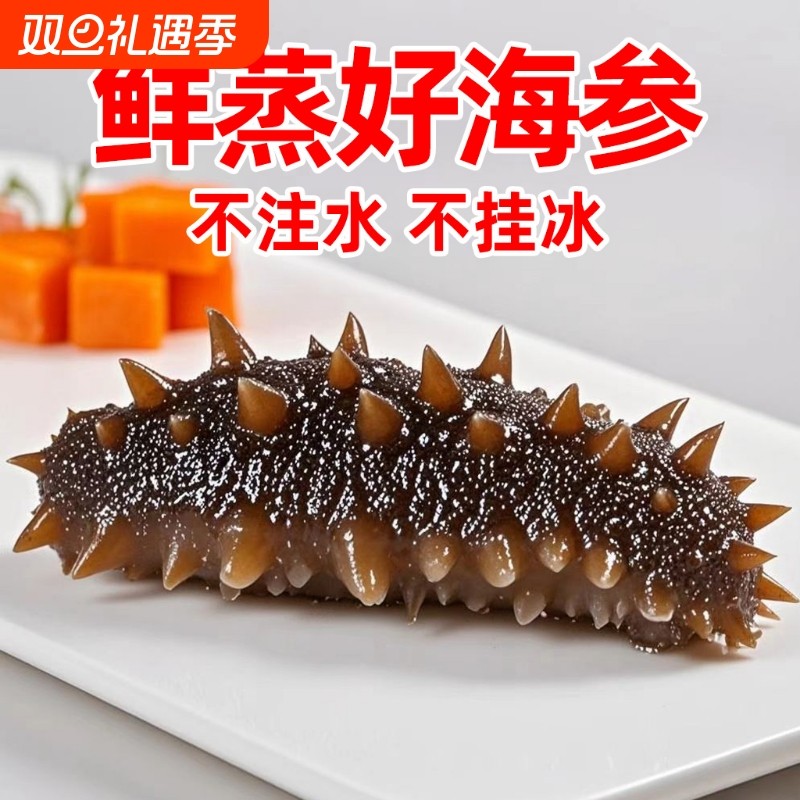 海参即食大连鲜活野生辽刺参滋补刺参礼盒单个装旗舰店水产冷冻