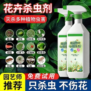 杀虫药花卉植物月季 花病虫害常用药蚜虫小黑飞非红蜘蛛蚂蚁专用剂