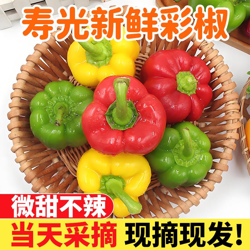 寿光直发五彩甜椒红黄绿三拼辣椒大果圆椒可生吃新鲜沙拉蔬菜