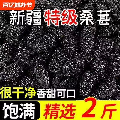 桑葚干黑桑椹特级泡水泡酒新疆自然晾干搭枸杞官方旗舰店正品新鲜