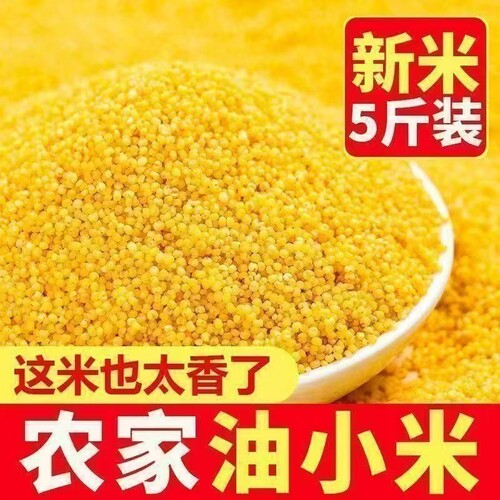 正宗内蒙小米煮粥米油多五谷杂粮