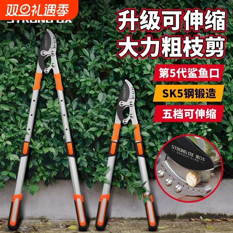 德国进口园林工具剪粗枝剪果树修枝强力树枝剪大力剪省力修剪神器
