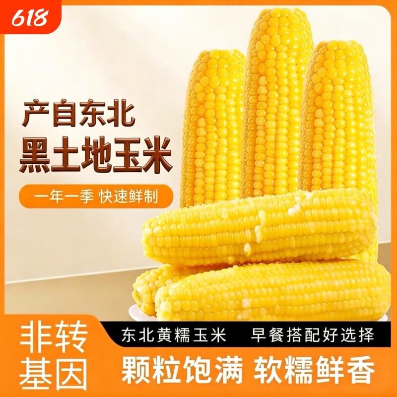 黑土东北黏糯玉米一年一季非转基因粗粮大棒10支早餐玉米黄糯真空