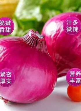 洋葱甜味新鲜紫皮洋葱头