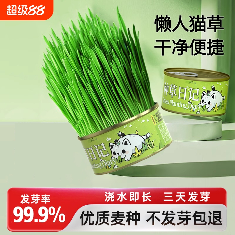 猫草盆栽懒人自种化毛猫草片水培盆猫草罐头薄荷猫咪专用排毛零食