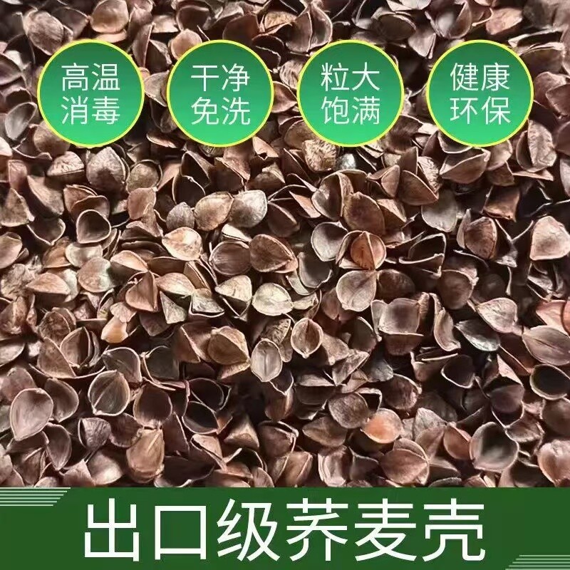 荞麦皮散装2斤免洗5斤荞麦壳10斤儿童枕头夏季凉枕芯决明子填充物
