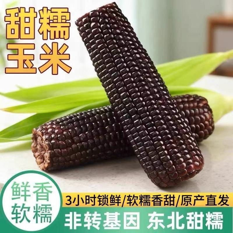 新鲜东北甜糯玉米大棒黑糯玉米营养代餐美味健康低脂饱腹软糯香甜