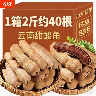 甜酸角云南特产新鲜野生大甜角孕妇零食水果豆角南酸枣罗望子酸角
