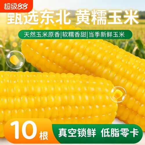 非转基因黄糯玉米软嫩香甜代餐