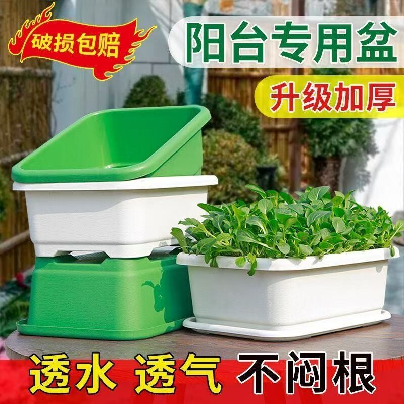 阳台种菜盆加厚长方形塑料盆家庭蔬菜种植盆种菜神器花盆椰砖种花