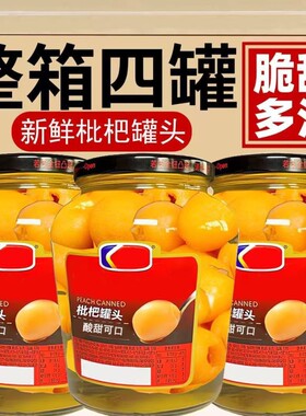福建糖水枇杷罐头商用