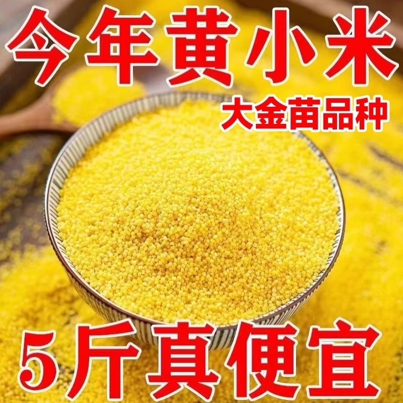 东北农家黄小米5斤新米养胃小黄米粥月子米杂粮大米黑米五谷粗粮