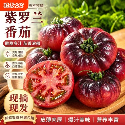 山东寿光紫罗兰番茄特色紫元帅西红柿现摘新鲜大番茄沙瓤口感顺丰