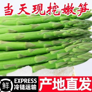 新鲜芦笋5斤产地直销现挖嫩青笋绿当季蔬菜龙须菜时令