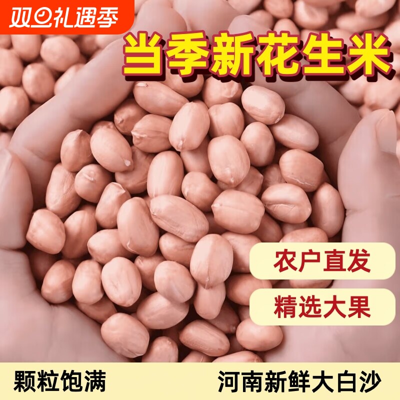精选大颗粒2025年新上市花生米农家自产河南新鲜大白沙生花生去壳