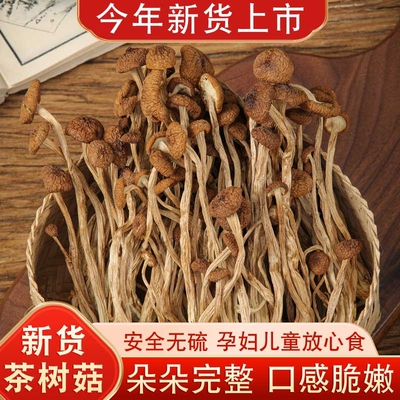 茶树菇干货特产鲜香脆嫩