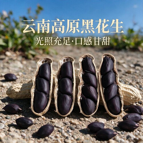 2026年新货富硒黑花生黑皮花生