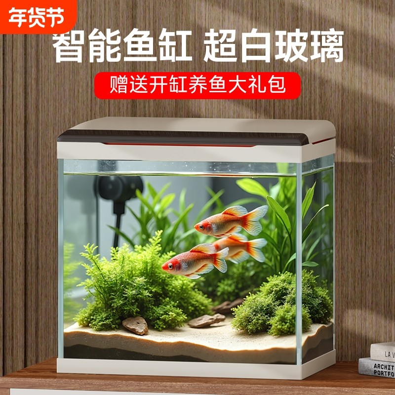 鱼缸水族箱免换水生态创意鱼缸中小型迷你桌面家用新款玻璃金鱼缸
