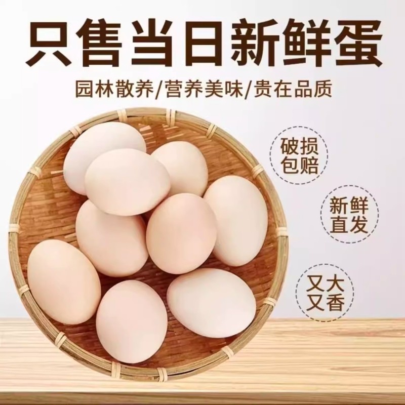 当天现收土鸡蛋农家散养柴鸡蛋富硒虫草蛋五谷草鸡蛋40g±5g/枚,水产肉类/新鲜蔬果/熟食,鸡蛋,淘宝优惠券,粉丝福利购,淘宝优惠卷