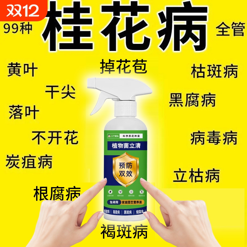 桂花枯叶病黄叶焦叶斑复活促开茶花催花剂座果灵树专用营养液种菜