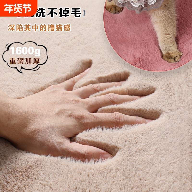 毛绒卧室地毯床边毯客厅茶几毯衣帽间地垫房间床下沙发毛绒垫子