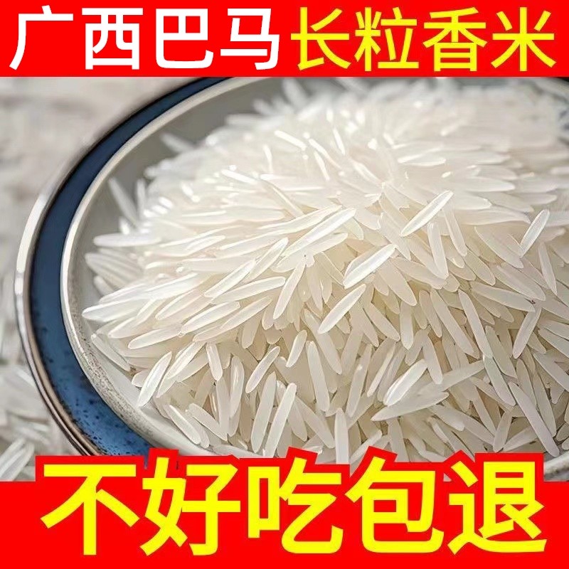 巴马香米长寿乡生态大米2025年新米正宗长粒香猫牙米真空米业优选