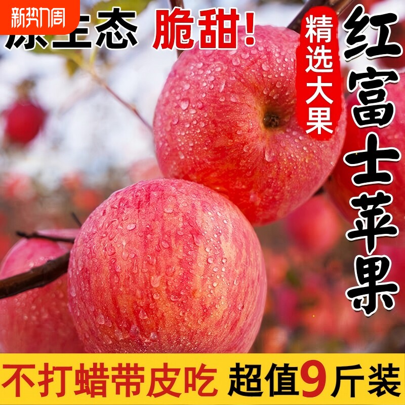 正宗山东苹果脆甜红富士苹果当季新鲜水果整箱批发大果采摘年货节