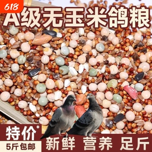 鸽粮50斤优质高粱玉米粒清除鸽子包邮营养饲料小麦无玉米幼鸽粮食