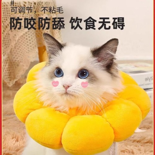 伊丽莎白圈猫绝育项圈防舔除跳蚤英短猫咪脖圈颈圈头套狗宠物用品