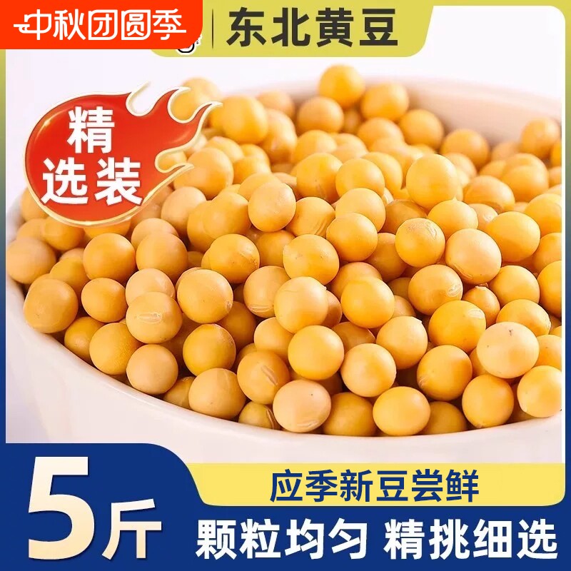 东北当季农家黄豆非转基因豆子图片